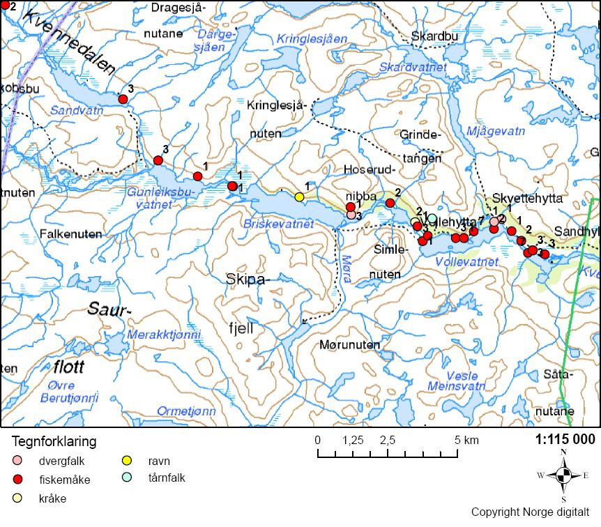 4.9 Falker, hauker, måker og kråkefugl Fiskemåke var den eneste observerte måkearten, med i alt 148 observervasjoner.