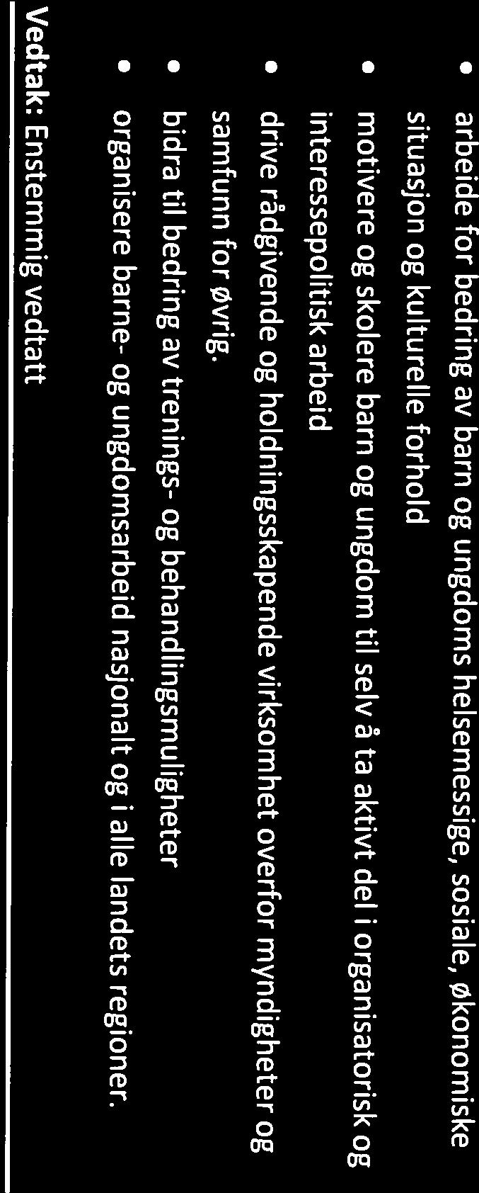 bidra til bedring av trenings- og behandlingsmuligheter organisere barne- og ungdomsarbeid nasjonalt og i alle landets regioner.