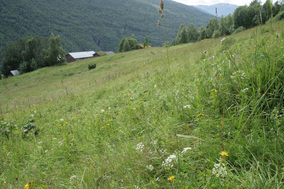 (Rønningen), Klevgardene, Oppdal