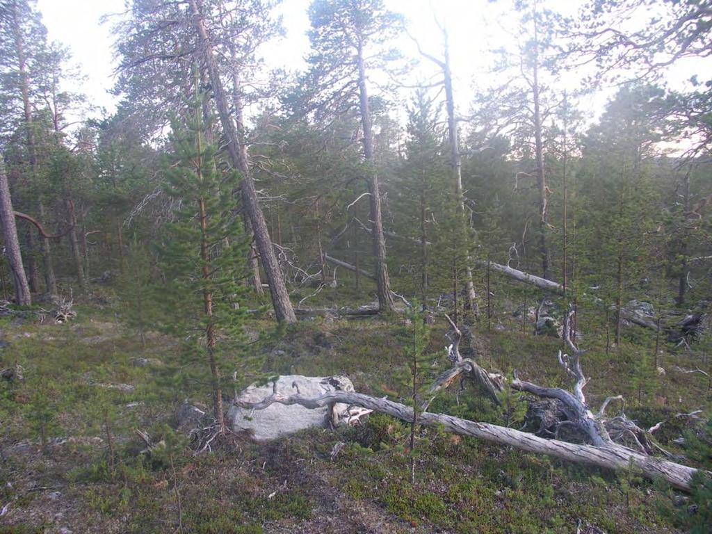 Fylkesmannen i Finnmark Registrering av naturtypelokaliteter i