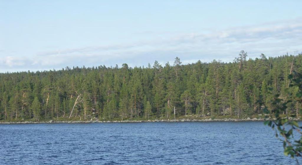 Lokalitet Naturtype Areal Verdisetting (1024) Store Sametti-Holmvatnet-Oddevatnet (1) Gammel barskog 22 494 dekar Svært viktig (A) Innledning: Dette er en ny lokalitet, og beskrivelsen er basert på