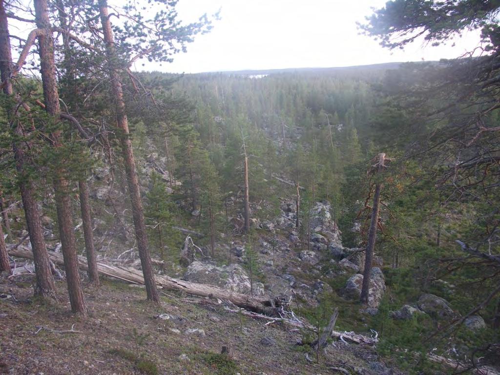 Figur 107. I områder med mye stein er skogen som oftest urskogsnær hvor enten ingen eller kun et fåtall trær er blitt hogd.