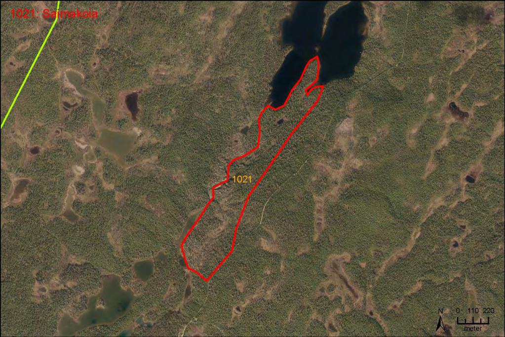 Bruk, tilstand og påvirkning: Ingen tekniske inngrep er registrert. Skjøtsel og hensyn: For å sikre de høye naturverdiene må skogen unntas all form for hogst.