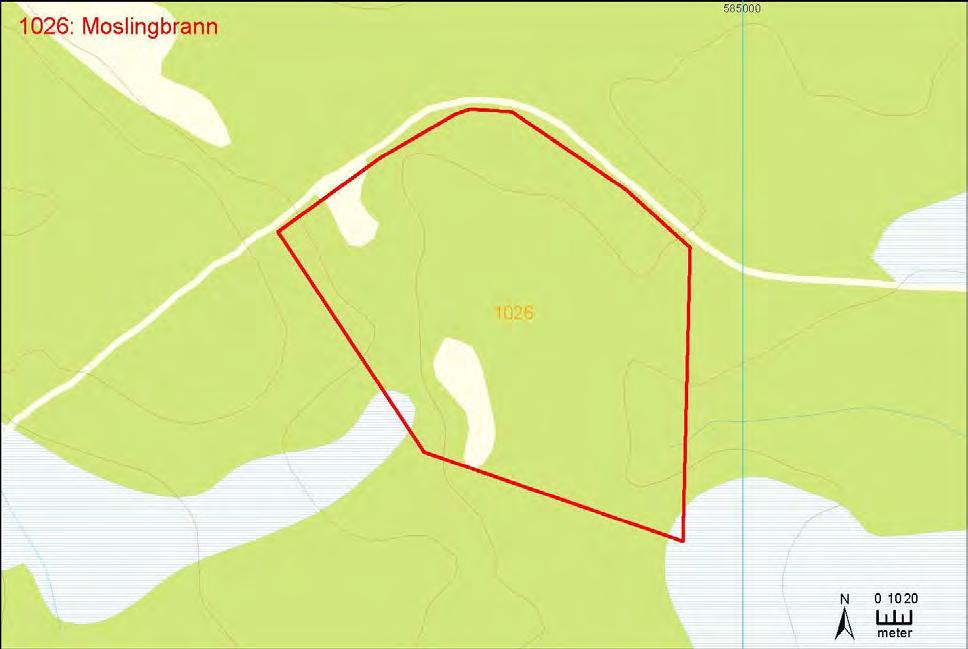 Verdibegrunnelse: Det vurderes at dette er en viktig (B) naturtypelokalitet.