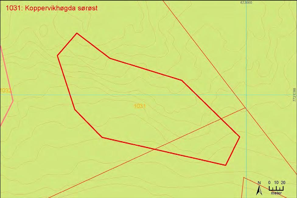 lauvskog. Figur 141.