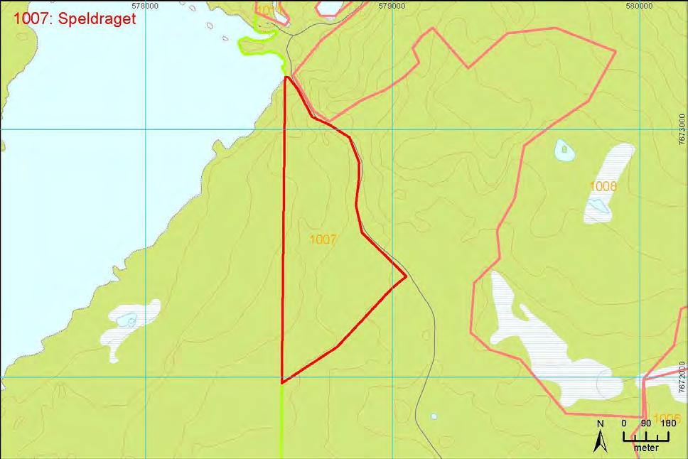 hard brann, og har derfor også interesse for skoghistoriske studier. Området skiller seg trolig lite fra skogen innenfor parken, og er således en del av samme skogmassiv.