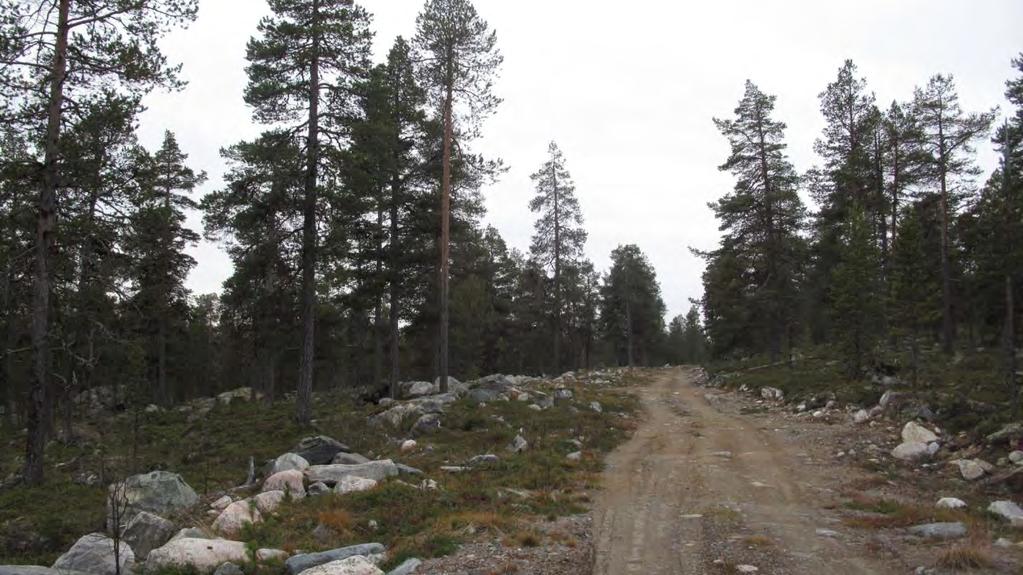 Figur 18. Fra enden av skogsbilvegen Føllvassveien) fortsetter en traktorveg et par kilometer.