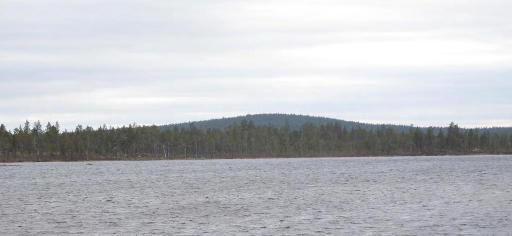 Lokalitet Naturtype Utforming Areal Verdisetting (1006) Hallerfjellet-Steinfjellet-Brannvatnet (1) Gammel barskog (1) Gammel furuskog 6 390 dekar Svært viktig (A) Innledning: Dette er en ny