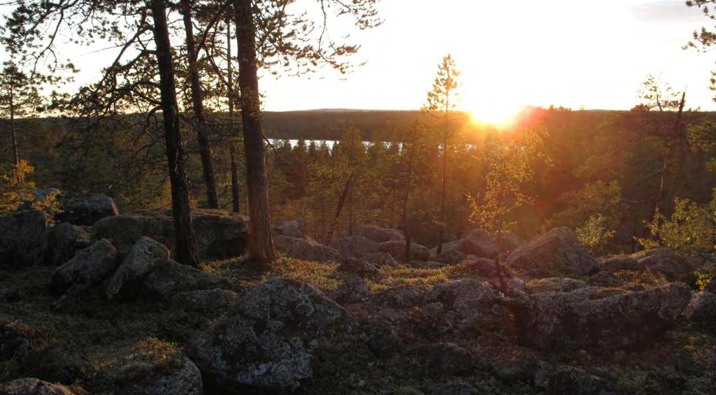 Lokalitet Naturtype Utforming Areal Verdisetting (1027) Nordre Stabbursfjellet (1) Gammel barskog (1) Gammel furuskog 411 dekar Svært viktig (A) Innledning: Dette er en ny lokalitet, og beskrivelsen