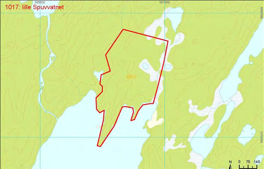 Bruk, tilstand og påvirkning: Det er ingen tekniske inngrep i området. Skjøtsel og hensyn: For å sikre naturverdiene må skogen unntas all form for hogst og tekniske inngrep.