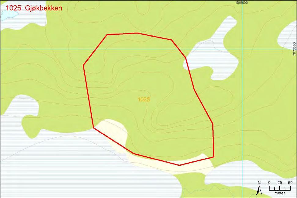 Verdibegrunnelse: Det vurderes under tvil at dette er en lokalt viktig (C) naturtypelokalitet.