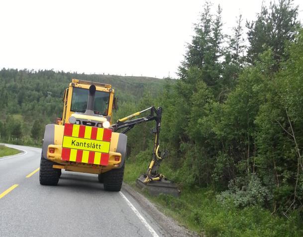 Sikkerheten til den som skal utføre jobben skal ivaretas! Skjøtsel er et fag Den som utfører skjøtsel må ha fagkompetanse.