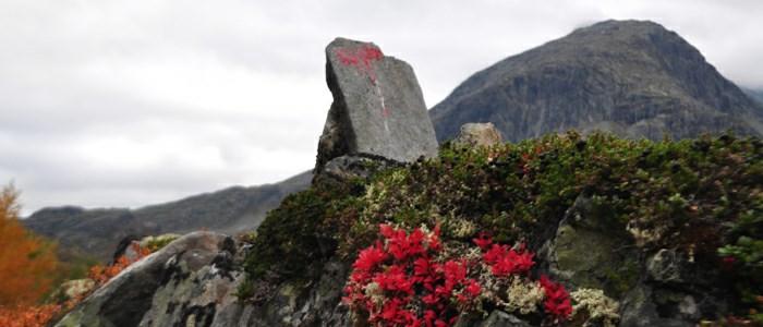 Vern av fjellområder Vi har mange verneområder i fjellet.