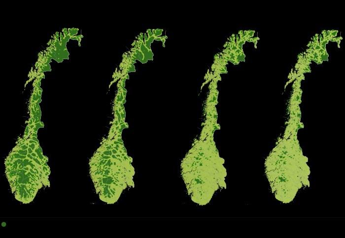 Tømmervika i Semsvannet landskapsvernområde er et viktig våtmarksområde med flere sjeldne arter av starr og insekter. Foto: Kim Abel, naturarkivet.