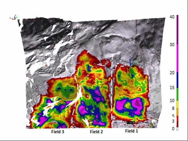 Oslofjord testfelt: laser scanning av tre