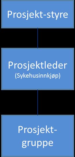 Nasjonal IKT HF Koordinere anskaffelse, sikre standardisering og samarbeid i helseregionene. 4. ORGANISERING OG ANSVAR 4.1.