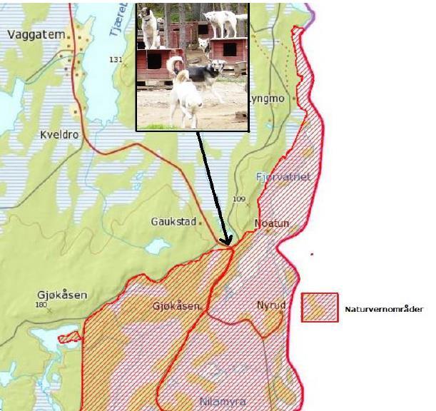 berører aktuelle område, og det ble hevdet at bruken i form av hundeopphold/kennelvirksomhet var i strid med gjeldende kommuneplans arealdel.