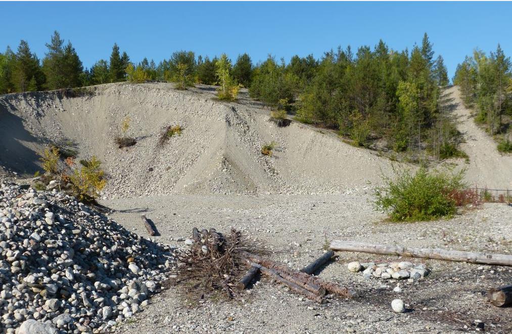 Saken går helt tilbake til 2012, da nasjonalparkstyret behandlet en søknad fra FeFo om nedlegging av massetaket nord for Gjøkåsen grensestasjon, og om uttak av masse til lokale formål fra massetaket