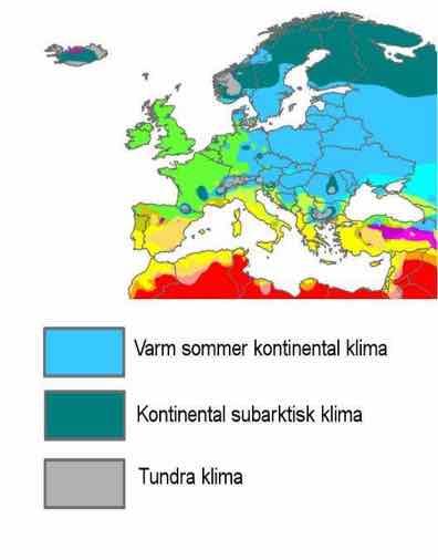 Utfordring 7: Vi lever i et «kaldt klima» Köppen: Områder der årlig