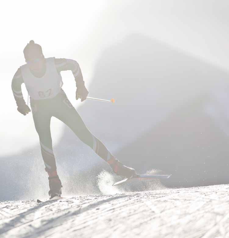 ET VINTERPARADIS! Flotte skimuligheter i alle varianter i nærheten.