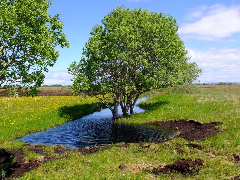 Restaurering av myr på Smøla Sammendrag Dyrket myr er en viktig kilde til utslipp av CO 2 og lystgass.