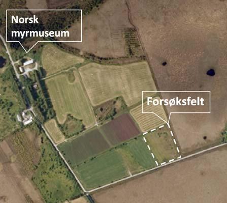 Lokalisering av felt for restaurering av myr på området ved Norsk myrmuseum.