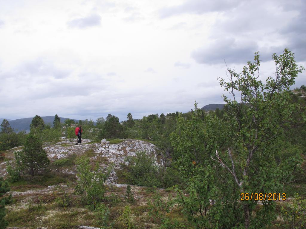 Innledning Ecofact har på oppdrag fra Fylkesmannen i Troms kartlagt kalkskogen på Nøklan i Skorpa-Nøklan landskapsvernområde med plantelivsfredning, med tanke på å avgrense den verdifulle naturtypen