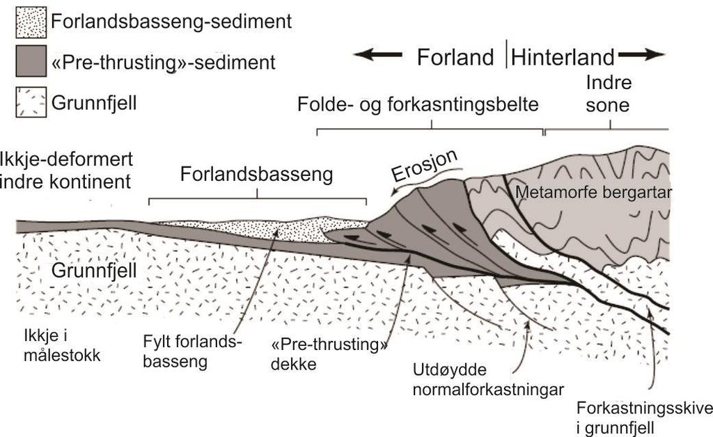 Figur 2.6: Skjematisk kryssprofil av ei orogenese og plasseringa av folde- og skyvedekke mellom forlandsbassenget og den metamorfe delen av hinterland (Van der Pluijm & Marshak, 2004).