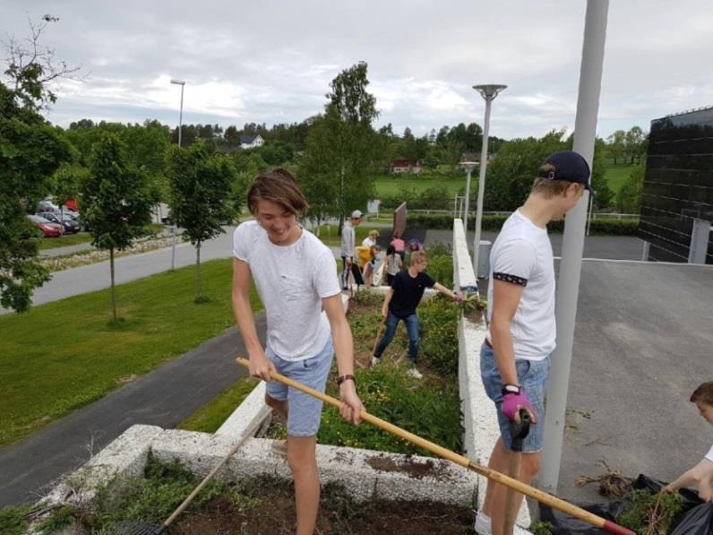 «Enkelt problem» Bør vi gjøre mer for å øke bestanden av pollinatorer i