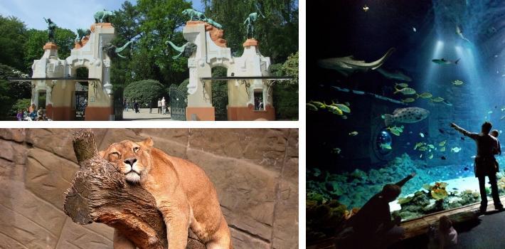 Tierpark Hagenbeck (15.2 km) Denne fantastiske dyreparken har over 1.800 dyr. Parken er delt i to; en dyrepark og et trope aquarium.