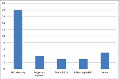 Figur 18 Kategorisering av personskadeulukkene i Austevoll kommune i perioden frå 2004 til 2013.