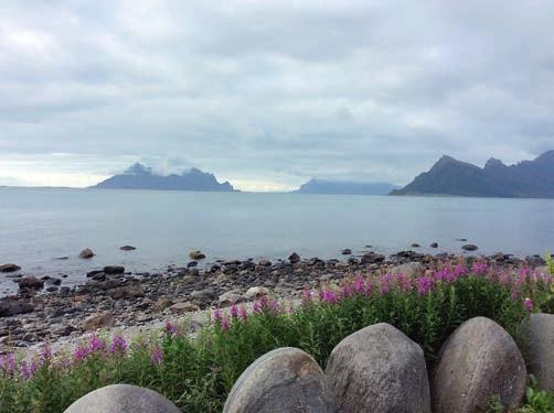 Landsskyttarstemnet 2016 i Øverbygd, Troms 30 Etter vel 30 års pause fann eg ut at eg skulle vere med på årets landsskyttarstemne. Også denne gangen berre som tilskodar.