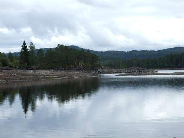 Faun Naturforvaltning har utarbeidet egen miljørapport som omhandler forholdene i og rundt Foldsjøen ved den endrede vannstanden.