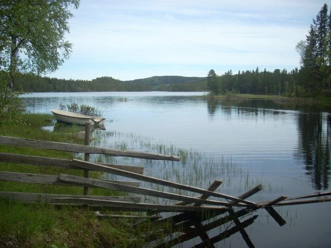 Menneskelig påvirkning Foldsjøen har vha. av Foldsjødammen vært regulert siden midten på 1600-tallet.