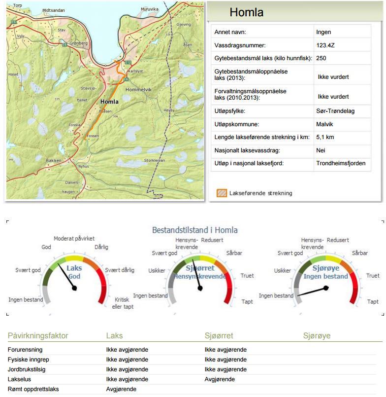 Figur 14: Data for anadrom strekning i Homla. Kilde; Lakseregisteret utskrift 03.07.2015. I følge Lind (1998) ble det tidligere fisket noe ål på strekningen mellom Dølanfossen og Storfossen.