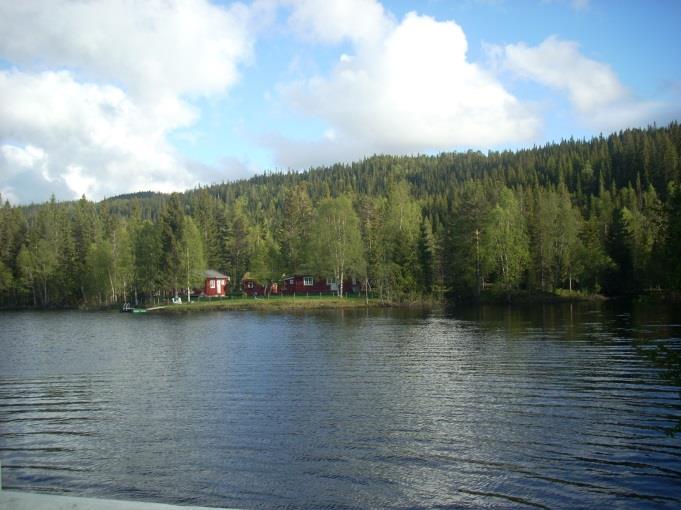 Figur 18: Vanndekt areal ved Vikelvas utløp i Litlfoldsjøen sør for Bonaunvegen ved vannstand ca. kote 208 (venstre) og ca. kote 204 (høyre). Fotos: Ole Roer og Rolf Amundsen.