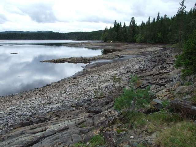 1.4 Beskrivelse av området Homlavassdraget - vassdragsnummer 123.4Z. Vassdraget er et lavlandsvassdrag i skogsterreng, med bare et lite areal over 400 moh.