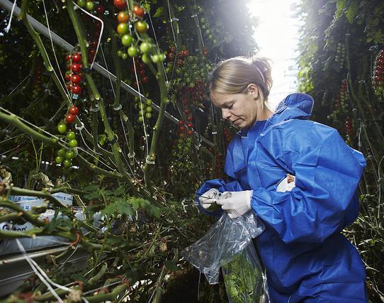 Næringsmiddelindustri og