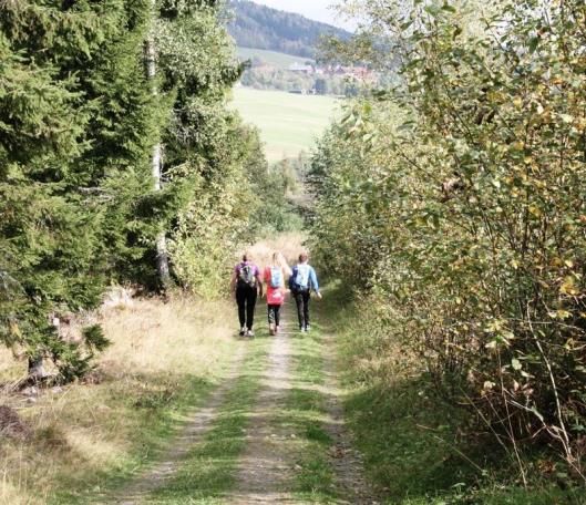 Prøysenmarsjen 2017 Søndag 24. september arrangeres Prøysenmarsjen for 44. gang. Ta med deg venner, familie eller kolleger og tilbakelegg 10 eller 13 kilometer denne søndags formiddagen.