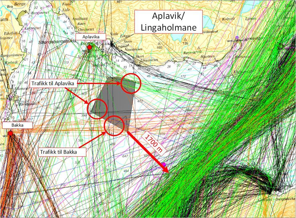 Figur 3.12 Nye Aplavik/LIngaholmane Foreslått nytt oppdrettsanlegg (gråskravur), Skipstrafikk (AIS 1år) Som Figur 3.