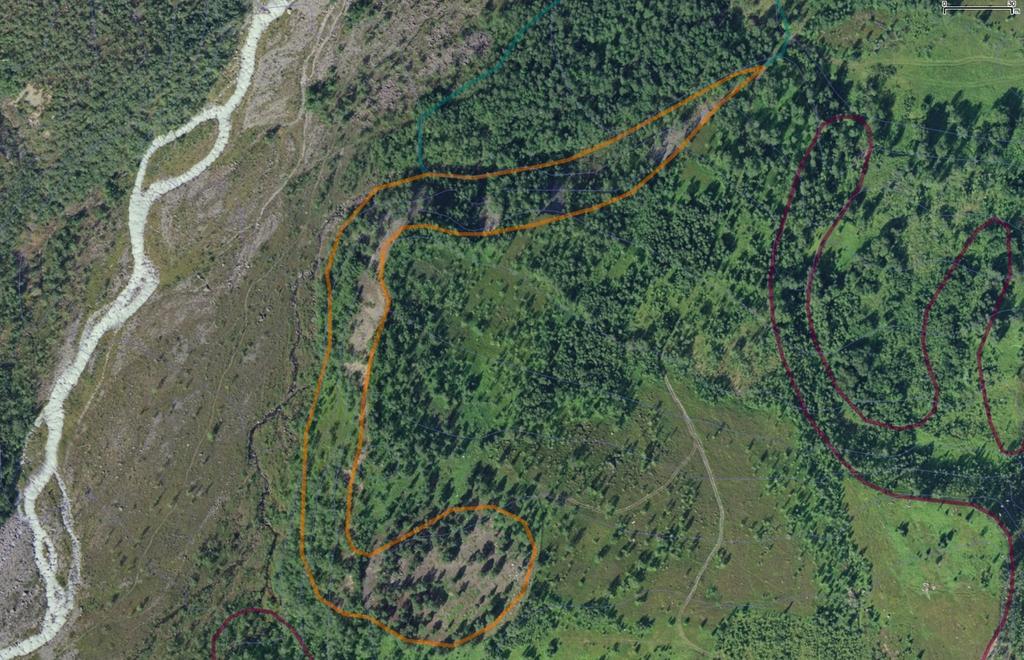 8.2 Lokalitet 2 - Koppangen Naturtype (%): Utforming: Verdi: B10 Ur og rasmark B1002 Intermediær ur og rasmark C Undersøkt dato: 17.