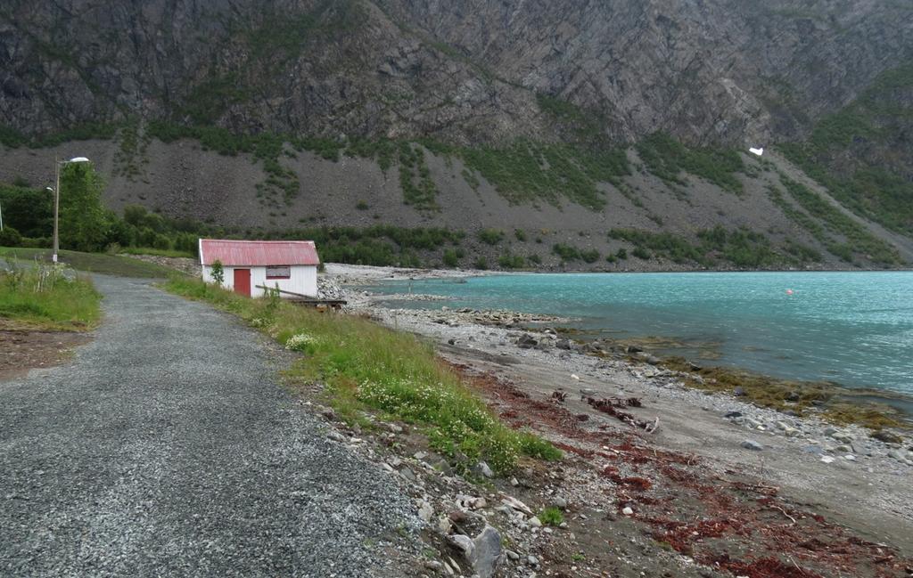 FORORD Ecofact har fått i oppdrag å kartlegge naturmangfold i forbindelse med reguleringsplan for Koppangen, Lyngen kommune, og utrede konsekvenser av tiltak.