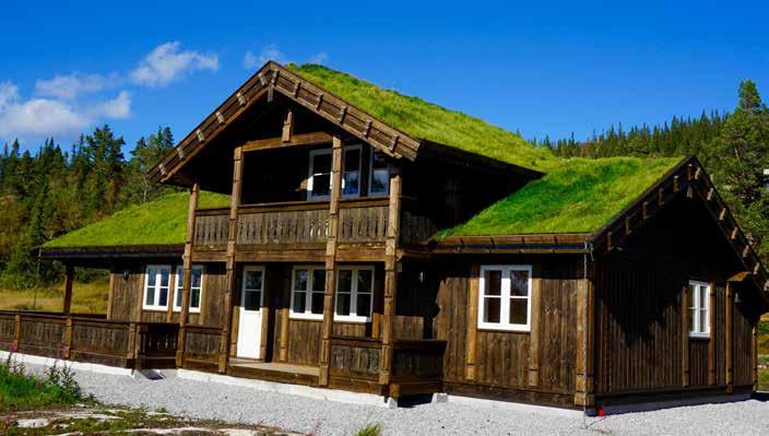 holdes lys levende i dagens hyttekultur og torvtak brukes i dag på hus og hytter på fjellet, ved sjøen og i boligstrøk.