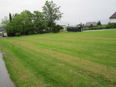 Høvik terasse Skjev skiltstolpe Dette er meldt til vår Elentreprenør for utbedring. 16 Triangelparken Bra vedlikeholdt av kommunen.