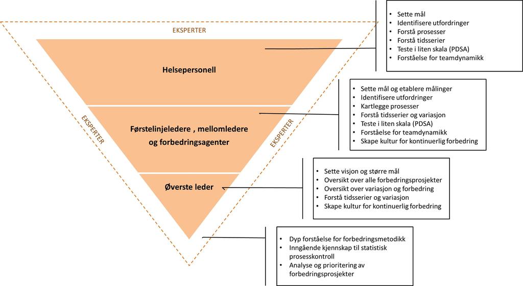 Modellen under viser hva slags type kompetanse som trengs på ulike nivåer.