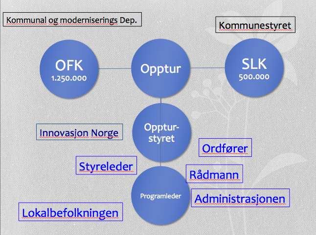 Sluttrapport Opptur Søndre Land 5 1.6. Omstillingsorganisasjonen Omstillingsorganisasjonens (Opptur) organisering kan illustreres som følger: Prosjektleder/programleder (PL) i 100 % stilling mv.