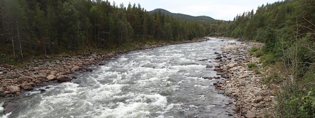 vandringsmulighet hele veien fra Glomma og langt oppstrøms prosjektområdet.