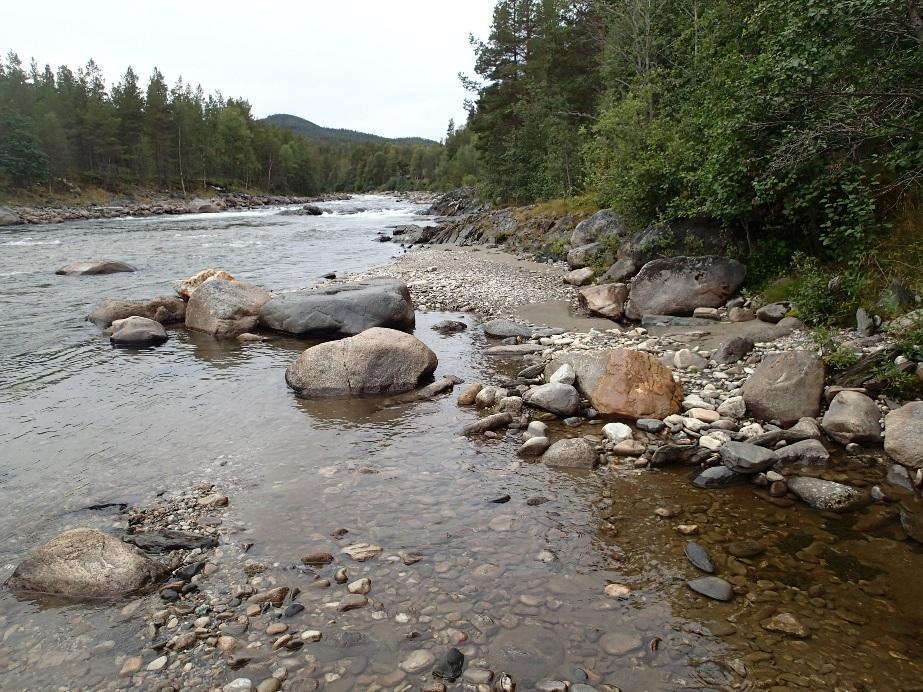 Figur 4: 100 meter oppstrøms det planlagte inntaksområdet er det en naturlig kulp som er egnet oppholdsområde for ørret og harr.