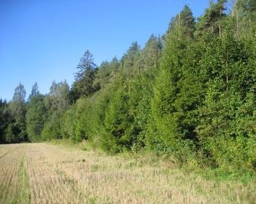 Skogen Årlig avvirkning i skogen viser følgende fordeling mellom gran og furu i m 3 : Avvirkning: Hobøl Spydeberg Askim Gran m 3 35 625 23 680 15 690 Furu m 3 3 620 3 052 38 Bjørk m 3 1 010 1 372 170