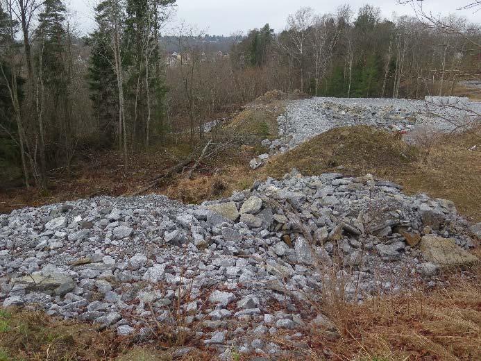 Terrenget stuper bratt ned fra kanten av terrassen i vest og sør.